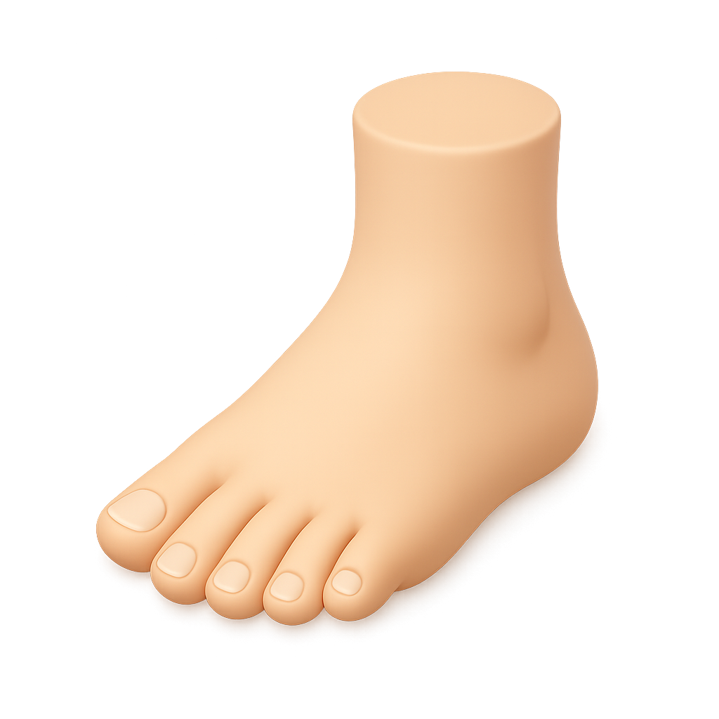 Foot