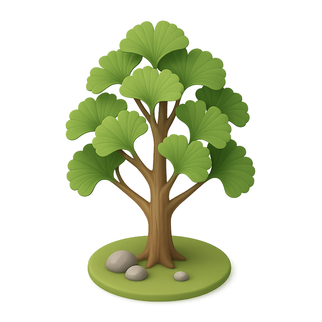 Ginkgo Tree
