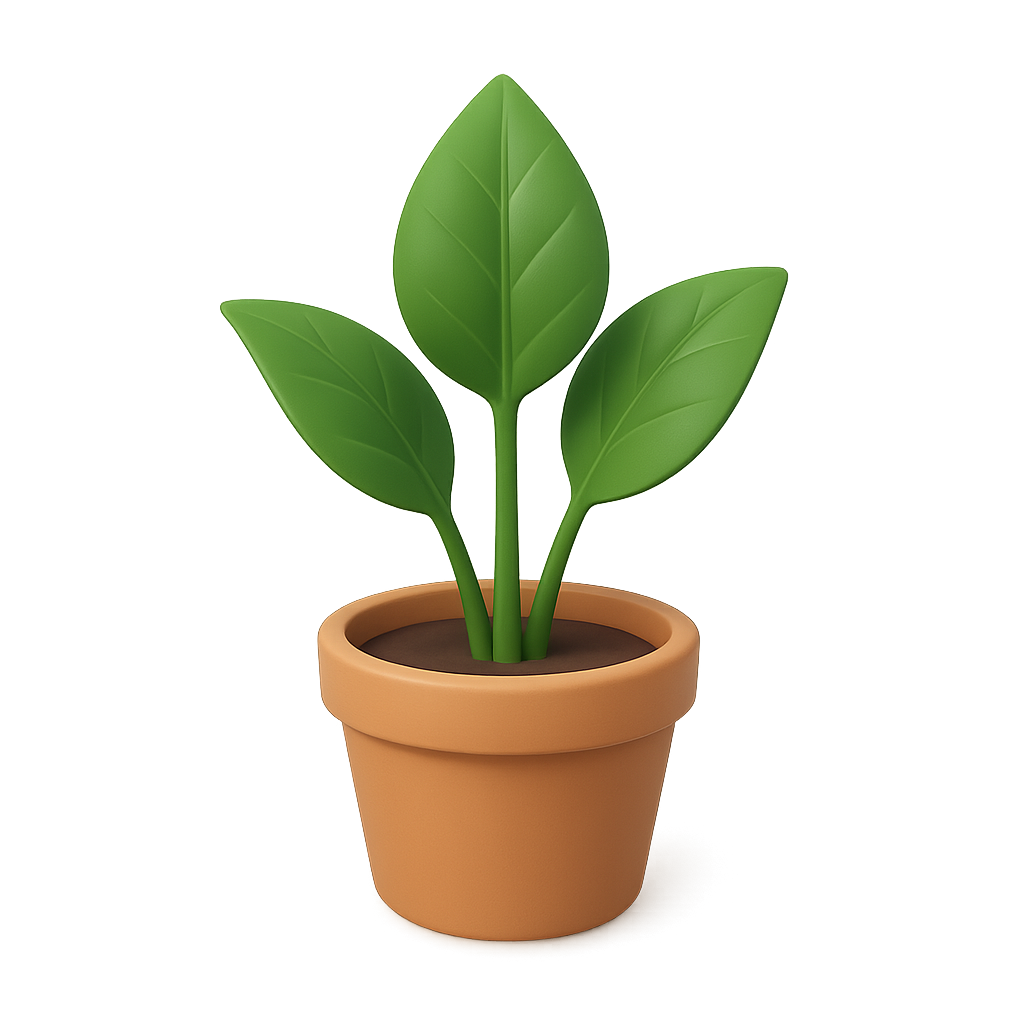 Plant Pot