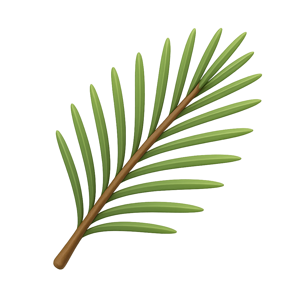 Pine Needle