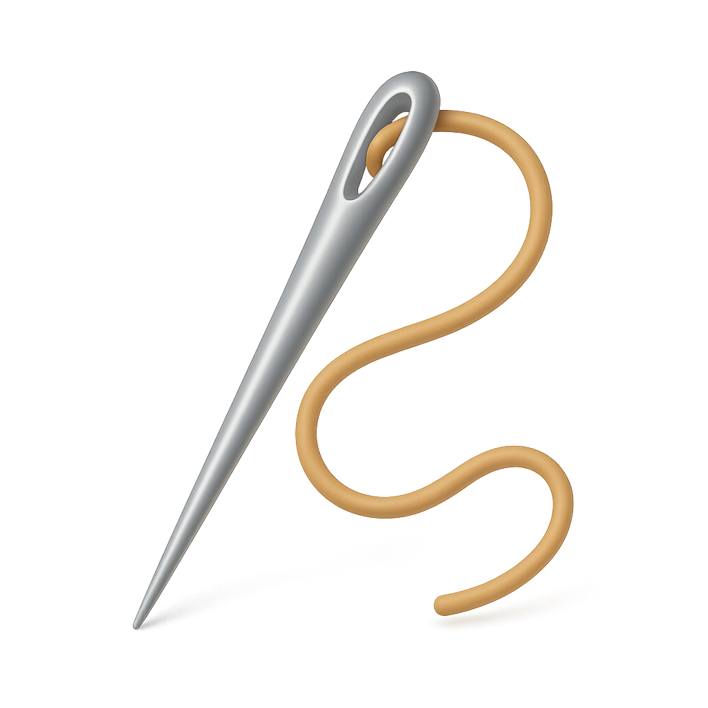 Needle