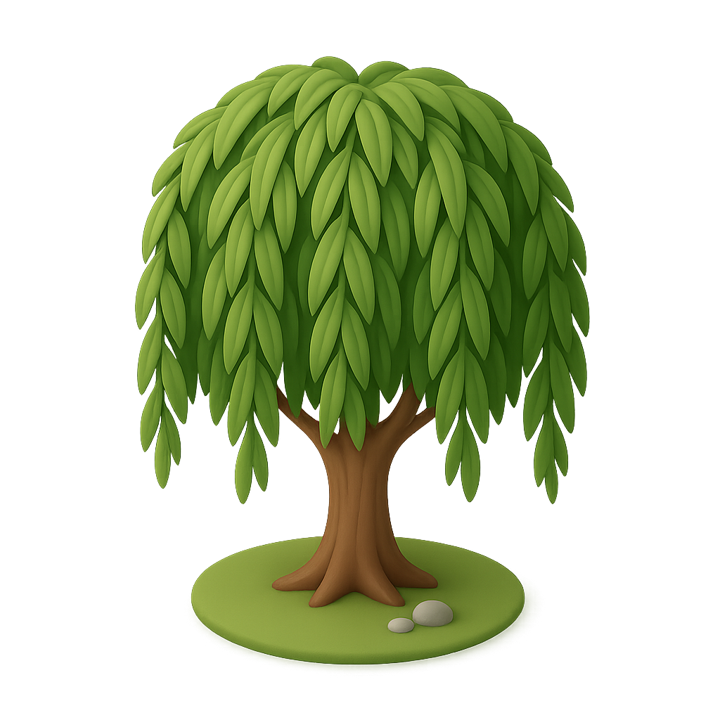 Willow Tree
