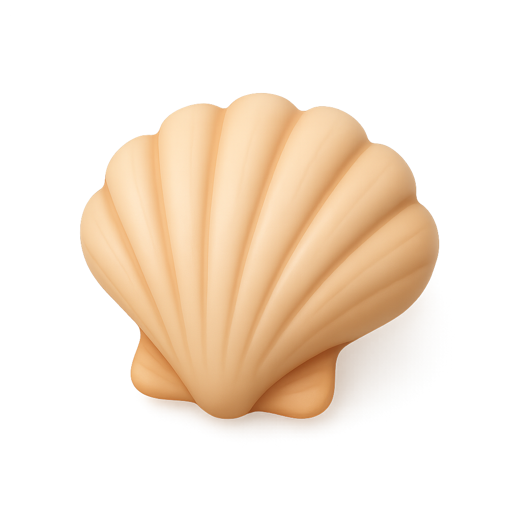 Seashell