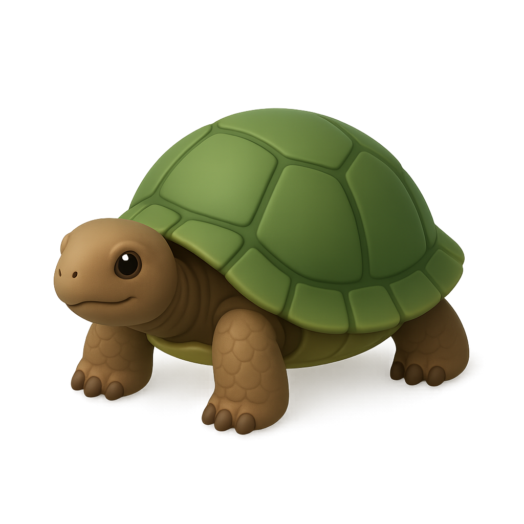 Tortoise