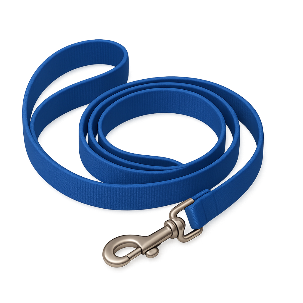 Dog Leash