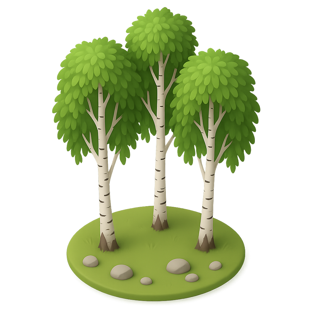 Birch Grove