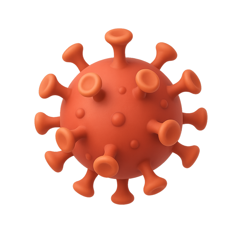 Corona Virus