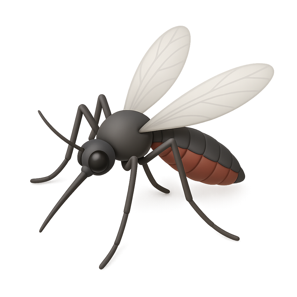 Mosquito