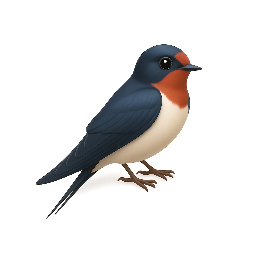 Swallow