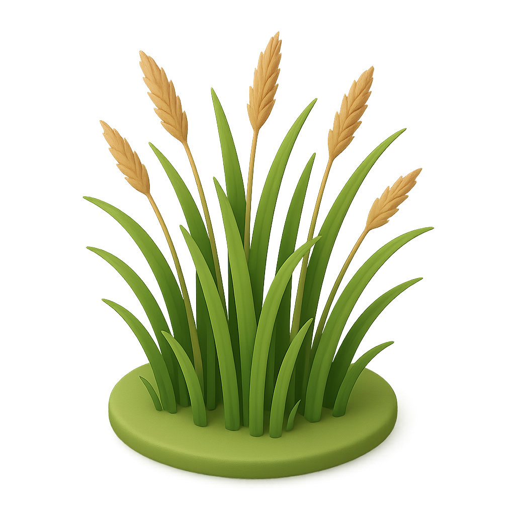 Prairie Grass