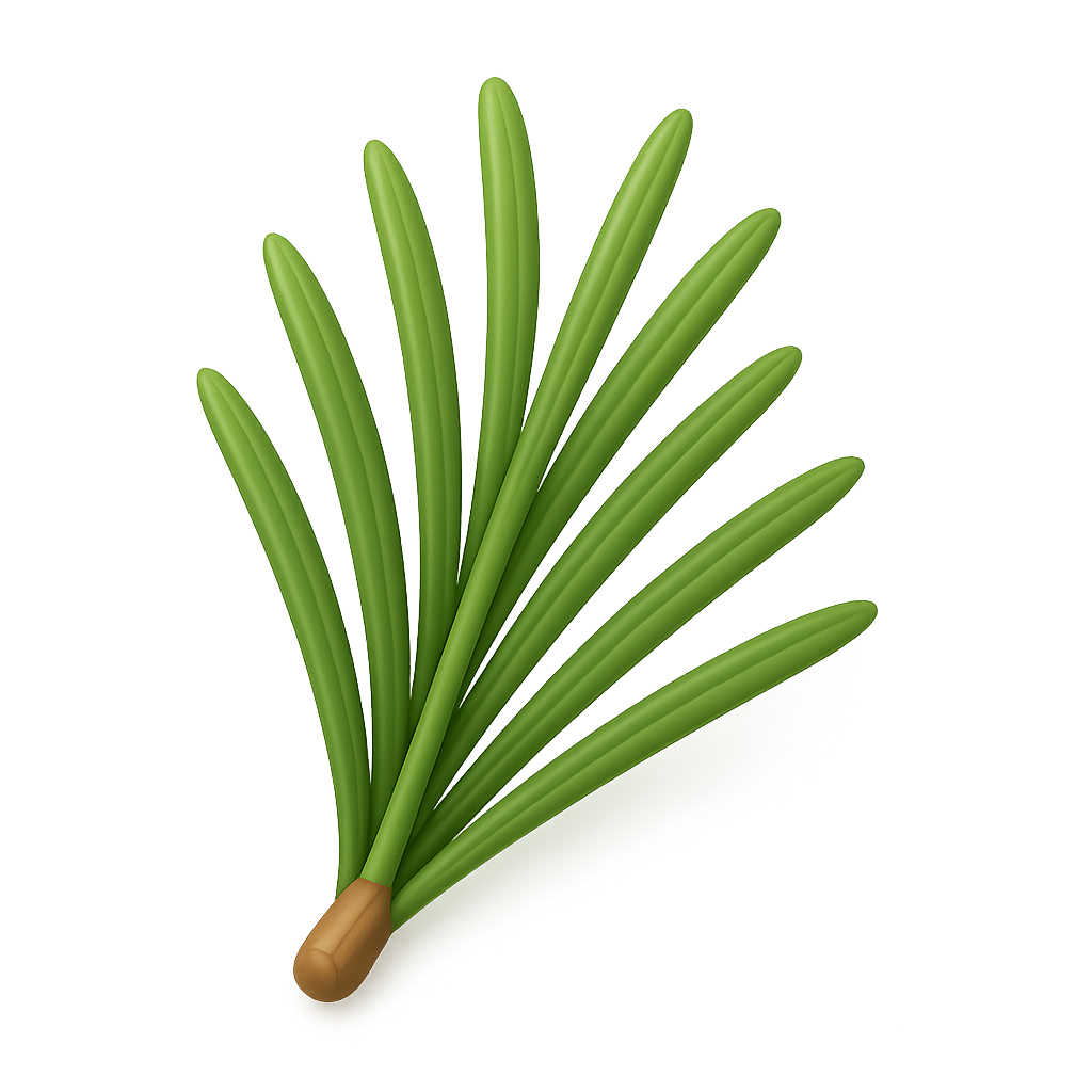 Pine Needle Cluster