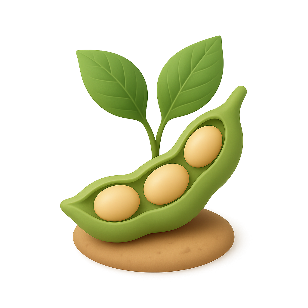 Soybean