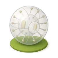 Zorb Ball