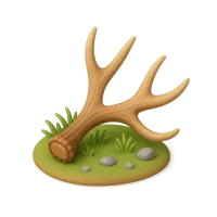 Lost Antler