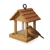 Bird Feeder