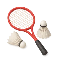 Badminton Racket and Shuttlecocks