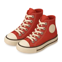 Converse Canvas Shoes