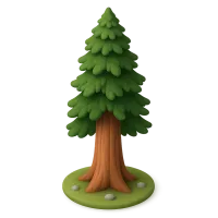 Sequoia Tree