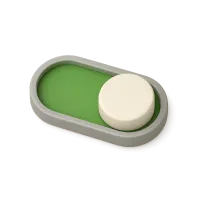Toggle Switch
