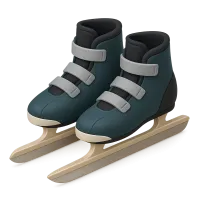 Speed Skates