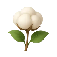 Cotton