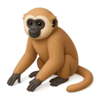 Gibbon