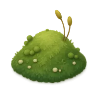 Moss