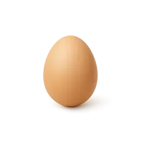 Egg