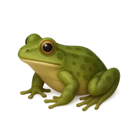 Common Frog