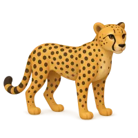 Cheetah