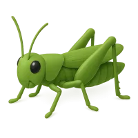 Grasshopper