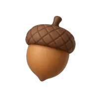 Acorn