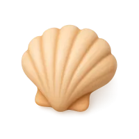 Seashell