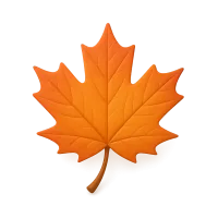 Maple Leaf