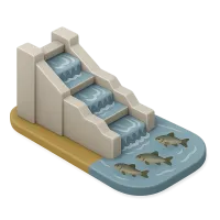 Fish Ladder