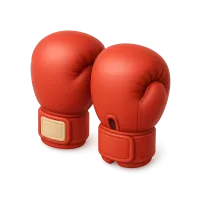 Boxing Gloves