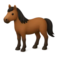 Pony