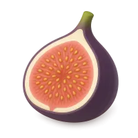 Fig