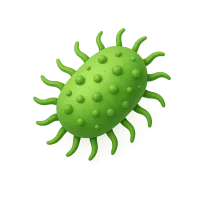 Bacteria