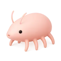 Sea Pig