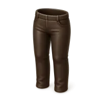 Faux Leather Pants