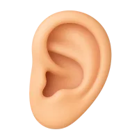 Ear