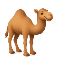 Camel