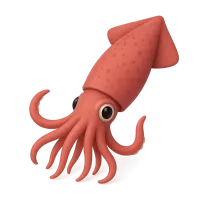 Squid
