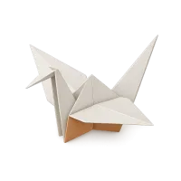 Origami Paper
