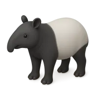 Tapir