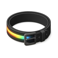 LED Belt