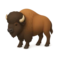 Bison