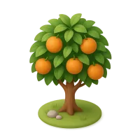 Orange Tree