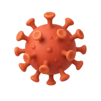 Corona Virus